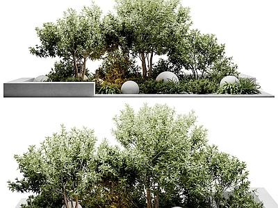 现代直播间 现代植物绿植景观