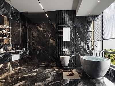 现代卫生间 现代卫生间