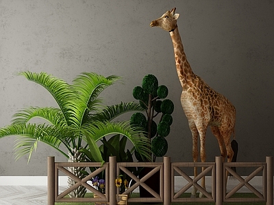 现代直播间 现代植物花卉组合