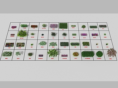 现代直播间 现代植物组合
