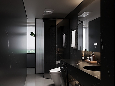 现代极简卫生间 黑白灰卫生间 干湿分离卫生间 干区卫生间 黑白卫生间 卫生间摆件