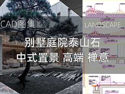 新中式庭院 别墅庭院泰山石 中式置景 高端 禅意 施工图