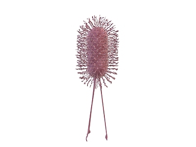 医疗器材 病毒