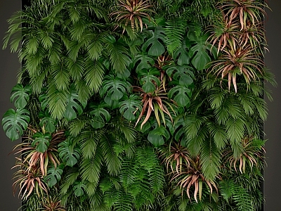 绿植墙