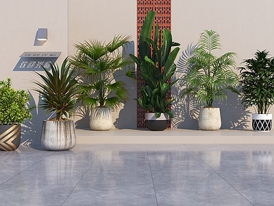 盆景 现代绿植盆栽 植物组合