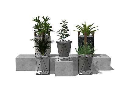 植物组合 盆栽组合 室内植物组合 工业风植物组合
