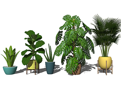 植物组合 盆栽组合 树池植物组合 室内植物组合 室内植物摆件