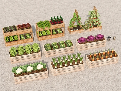 新中式现代庭院小品 庭院菜园 种菜箱 蔬菜 花箱 花架 蔬菜园 农作物 农家乐院子 水果蔬菜