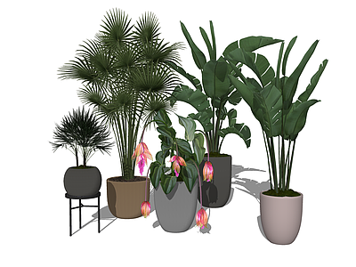 植物组合 盆栽组合 树池植物组合 室内植物组合 植物盆栽组合