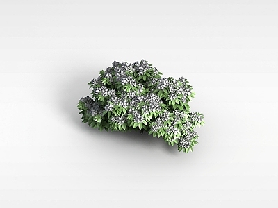 现代办公桌 花草树木植物
