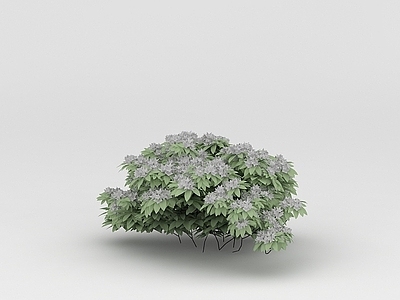 现代办公桌 植物树木丛林