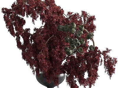 中古侘寂花艺 花艺 花瓶 花卉 干花 鲜花