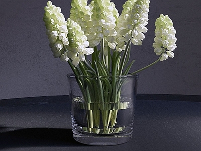 花 水生花 桌面摆设花