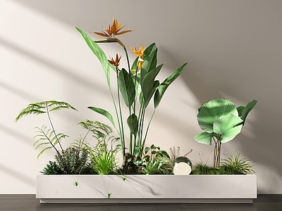 植物组合 盆栽组合 树池植物组合 景观小品 植物 绿植堆
