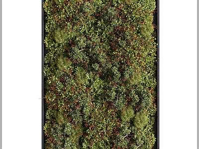 绿植墙 植物墙 绿植墙饰 景观植物墙 景观绿植墙 绿篱