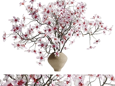 现代花艺 现代花艺 陶瓷花艺