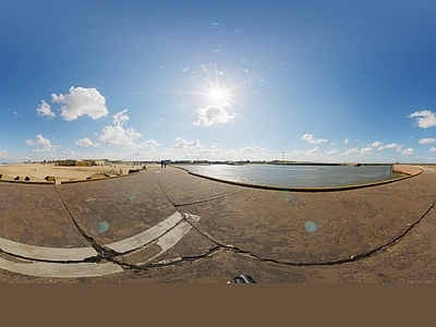 禅意天空HDR HDR 天空树 天空 场景