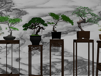 植物组合 盆栽组合 中式植物盆栽组合 造型松盆栽组合 室内植物组合