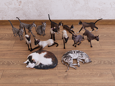 家禽动物 猫 宠物猫 逻辑猫