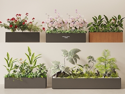 植物组合 绿植花箱 外摆绿植花箱 可移动花箱 植物组合植物堆 木质花箱
