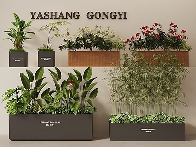 植物组合 绿植花箱 外摆绿植花箱 可移动花箱 植物组合植物堆 木质花箱
