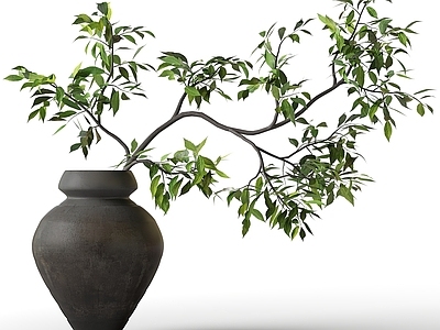 花艺