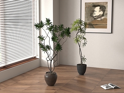 盆栽 新中式植物盆栽