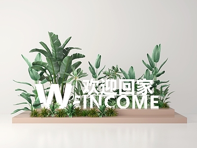 植物组合 植物组合 植物 绿植 小景 植物景观
