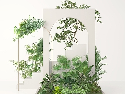 植物组合 植物景观 小景 植物堆 绿植 植物