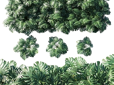 绿植墙 龟背叶墙饰