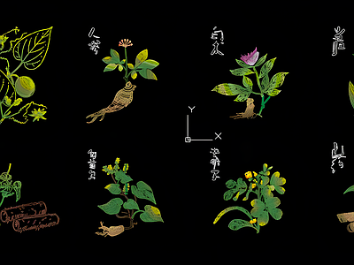现代综合植物图库 中草药 施工图