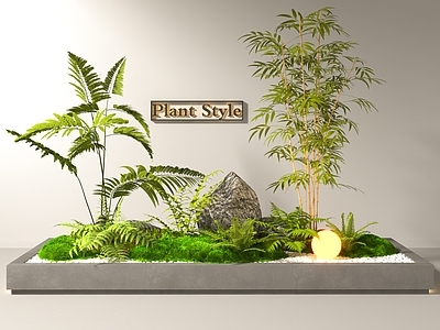 植物堆 蕨类植物 植物景观造景 植物小品 竹子 花草