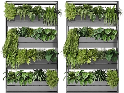 盆栽 绿植盆栽墙 植物墙 绿植墙 花箱 植物架