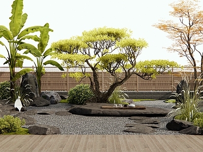 新中式日式庭院 汀步 微地形 植物造景 景观树 景观石头