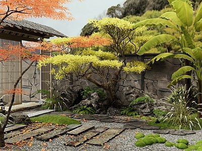 新中式日式庭院 民宿庭院 庭院门 植物景观 汀步 景观树