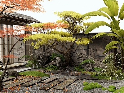 日式禅意庭院 青石板路 庭院大门 汀步 植物景观 景观石头