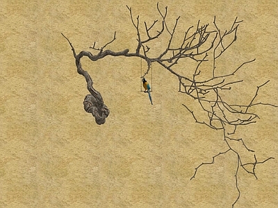 飞行动物 鹦鹉 枯树枝 唯美古风展成