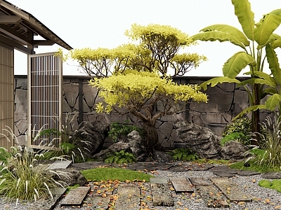日式禅意庭院 民宿庭院 庭院大门 植物景观 汀步 芭蕉