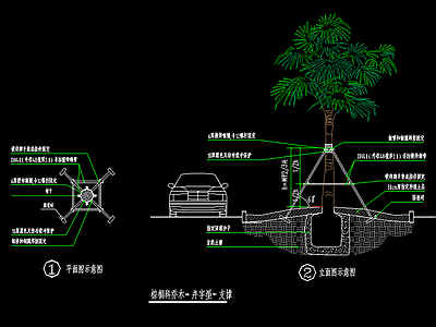 现代植物配置图库 棕榈科支撑 施工图