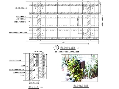 现代植物配置图库 垂直绿化 施工图