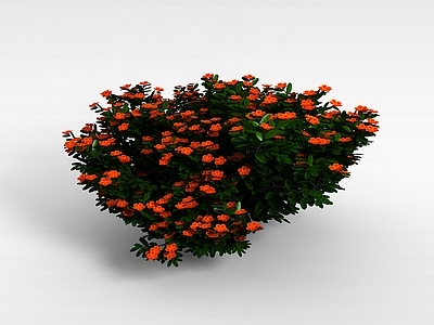 现代佛龛 植物花草树木
