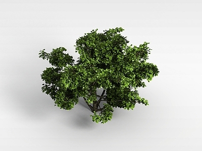 现代办公桌 植物树木