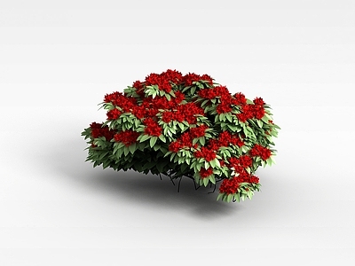 现代佛龛 植物花草
