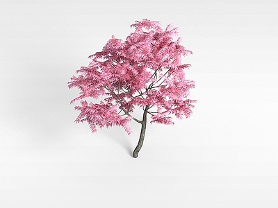 现代办公桌 植物花树