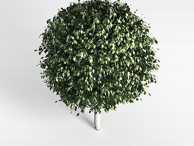 现代办公桌 植物树木