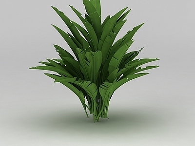 现代佛龛 植物
