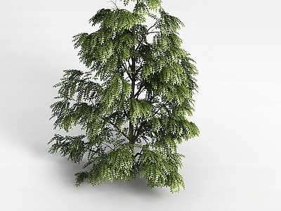 现代办公桌 植物树木