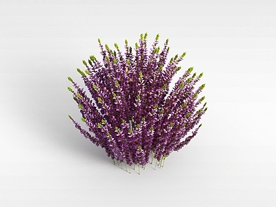 现代佛龛 植物花草