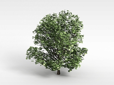 现代办公桌 植物大树