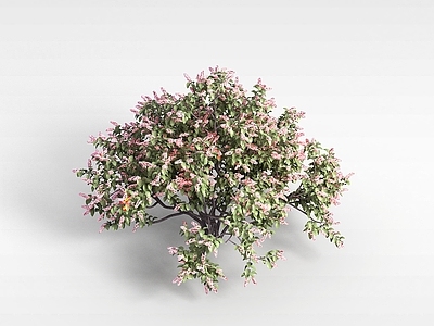 现代办公桌 植物花树